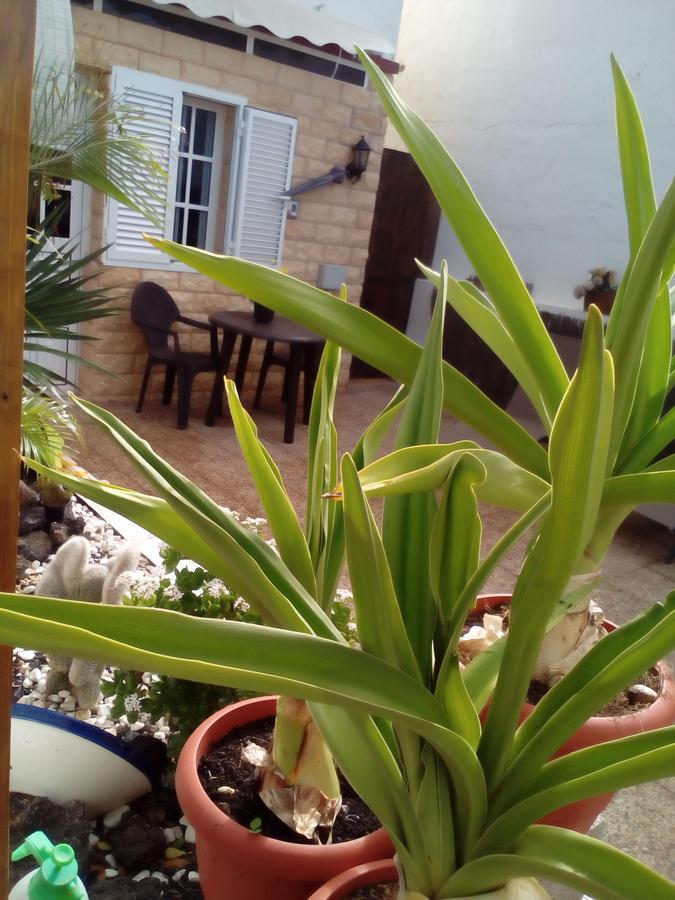 Solo Adultos, Las Tuneras Rooms La Oliva Eksteriør billede